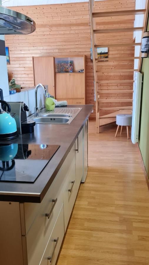 Joli Appartement Avec Jardin La Teste-de-Buch Dış mekan fotoğraf